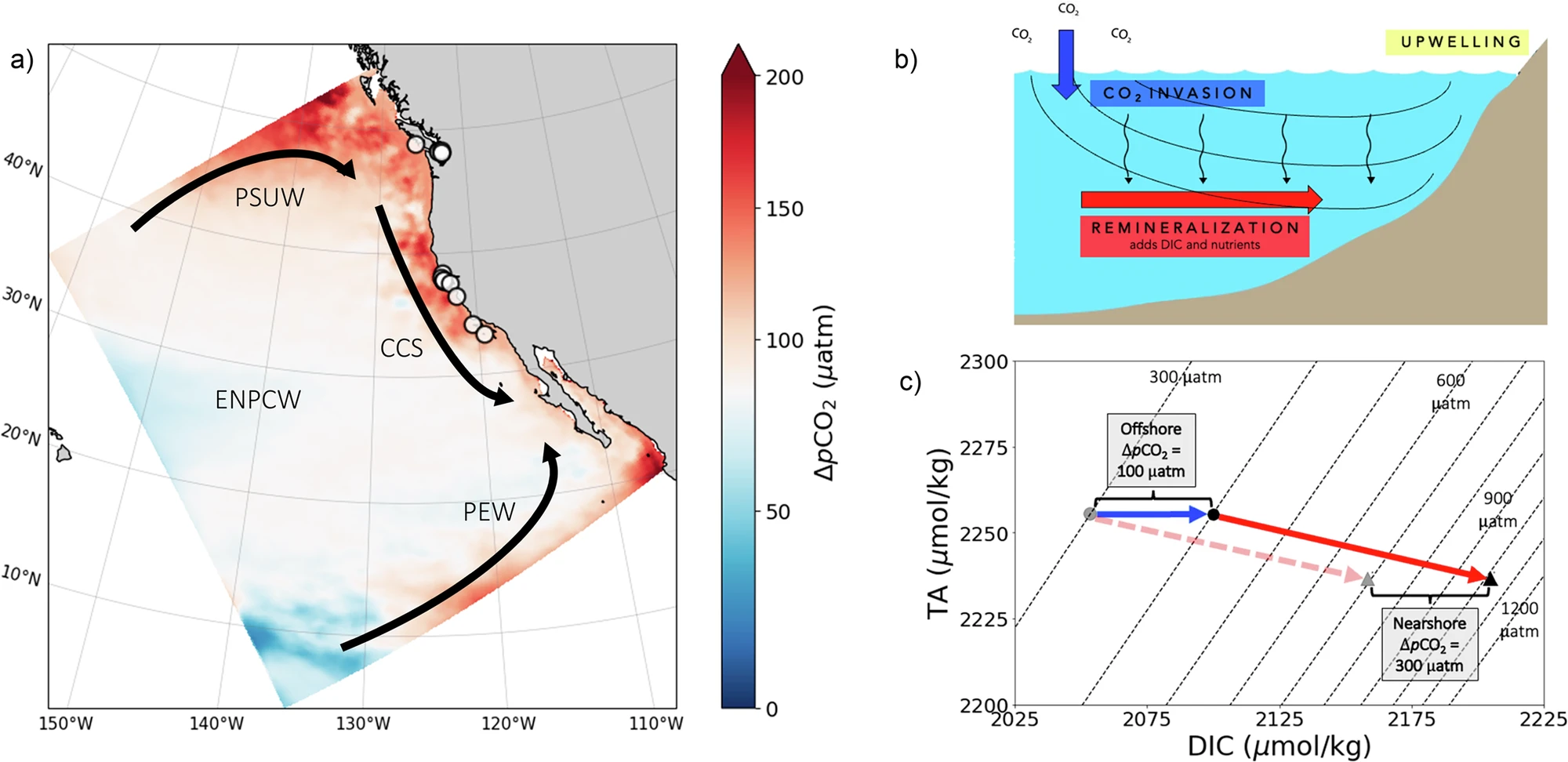 Процессы, влияющие на карбонатную химию в системе Калифорнийского течения (СКТ) на протяжении XX века.