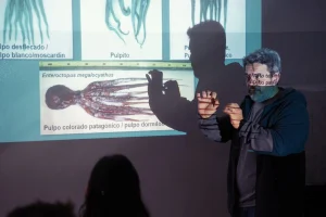 Лекция в Каморонесе