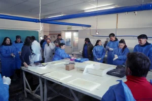 Теория и практика