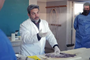 Д-р Николас Ортис из Института биологии морских организмов ЦКТ КОНИСЕТ-ЦЕНПАТ