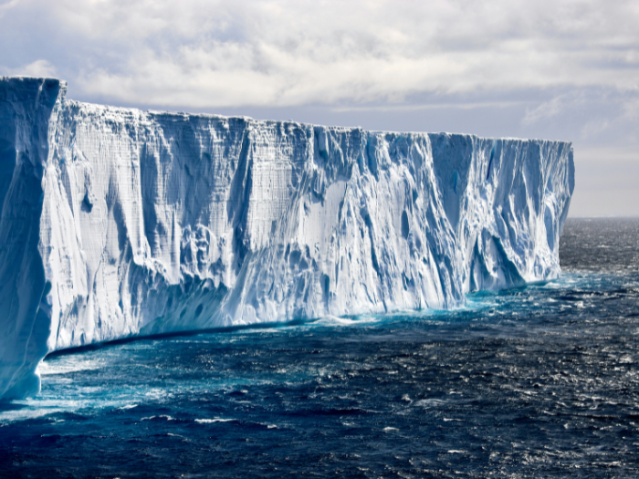 Что такое голубой углерод и почему он важен?