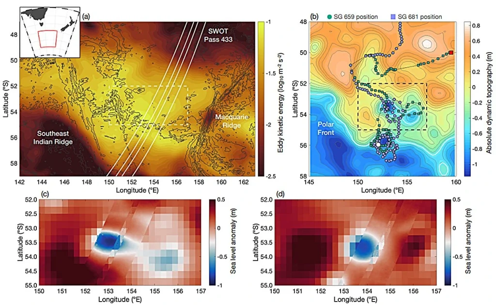 Обзор области исследования FOCUS. Авторство: Communications Earth & Environment (2026). DOI: 10.1038/s43247-026-03673-y