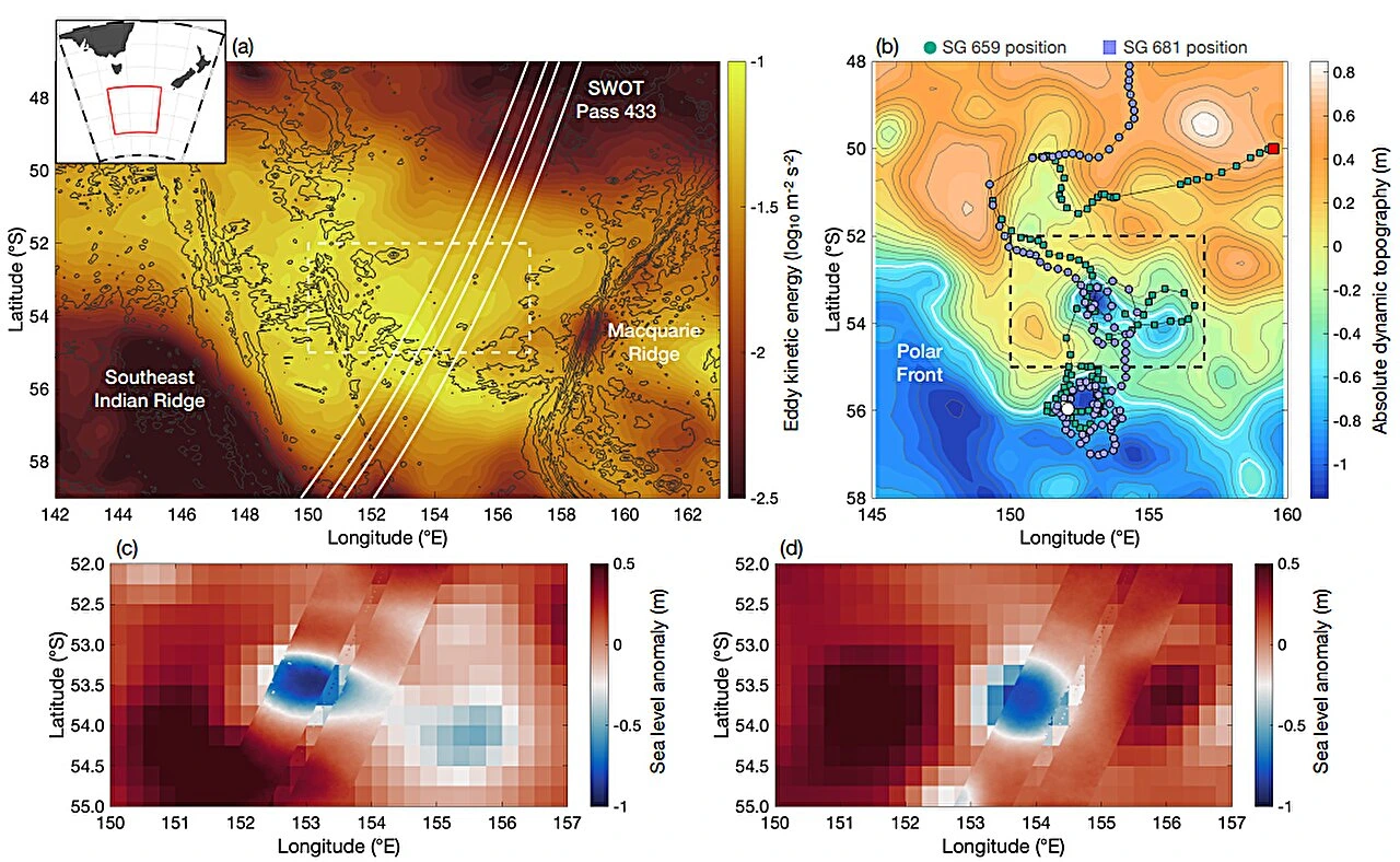 Обзор области исследования FOCUS. Авторство: Communications Earth & Environment (2026). DOI: 10.1038/s43247-026-03673-y