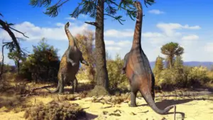 Два зауропода Neuquensaurus поднимаются на задние лапы, чтобы дотянуться до листвы на вершине дерева. Согласно компьютерному анализу, этот вид мог легко удерживать такую позу 66 миллионов лет назад. Изображение предоставлено Guilherme Gehr
