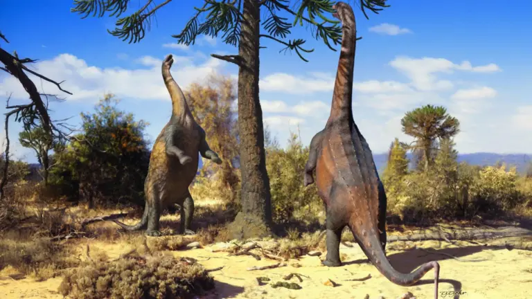 Два зауропода Neuquensaurus поднимаются на задние лапы, чтобы дотянуться до листвы на вершине дерева. Согласно компьютерному анализу, этот вид мог легко удерживать такую позу 66 миллионов лет назад. Изображение предоставлено Guilherme Gehr