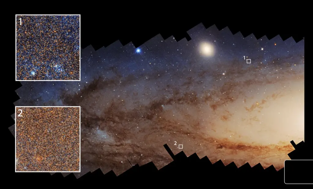 Галактика Андромеда на снимке Hubble. Голубые области (1) указывают на недавнее звездообразование, красные (2) — на участки с менее активным процессом. Источник: NASA/ESA/UWashington/Northwestern/STScI.